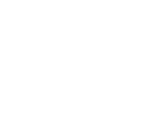 WordCamp Europe 2026 Microsponsor